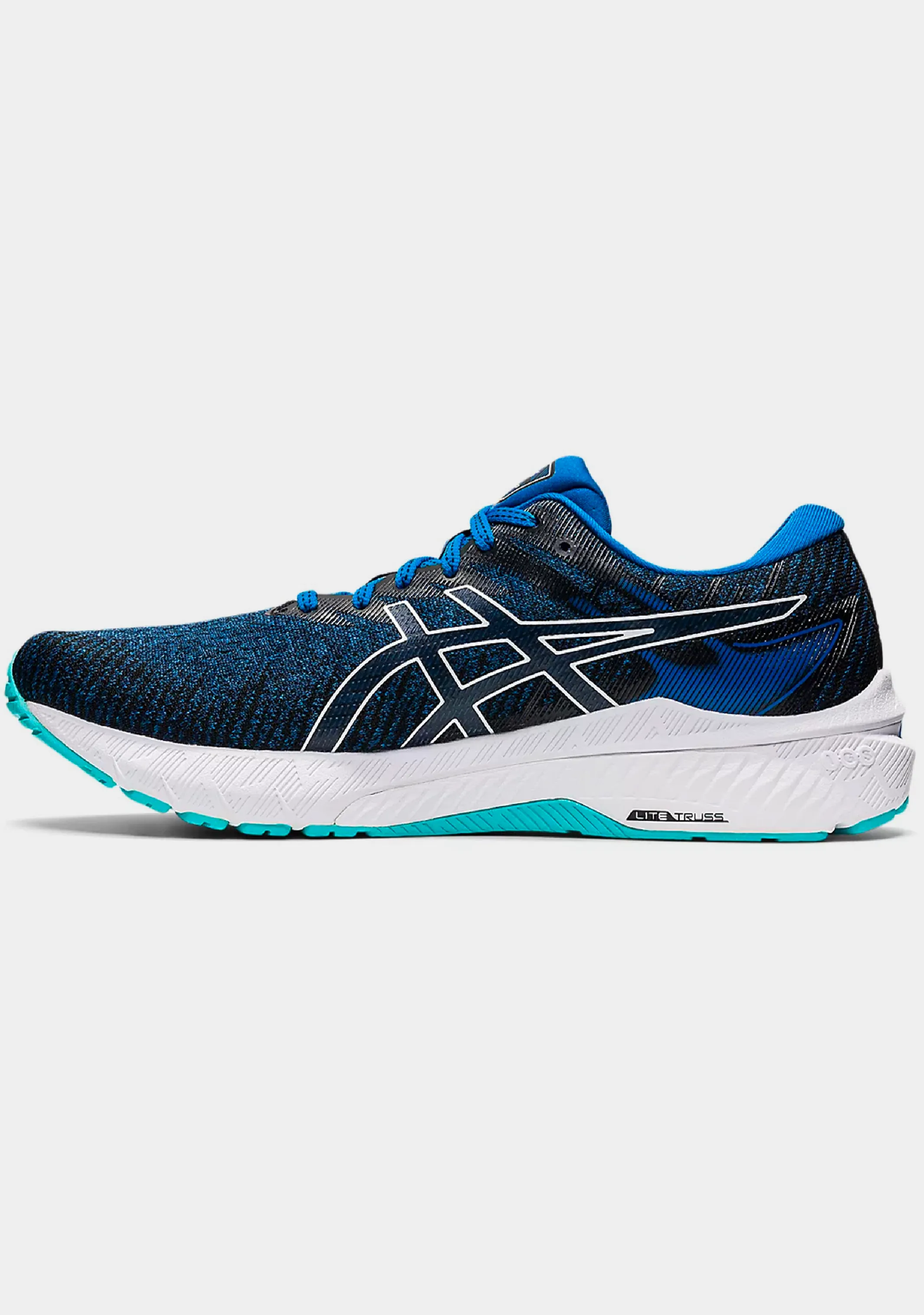 Asics Men??s GT 2000 10 (2E Width)