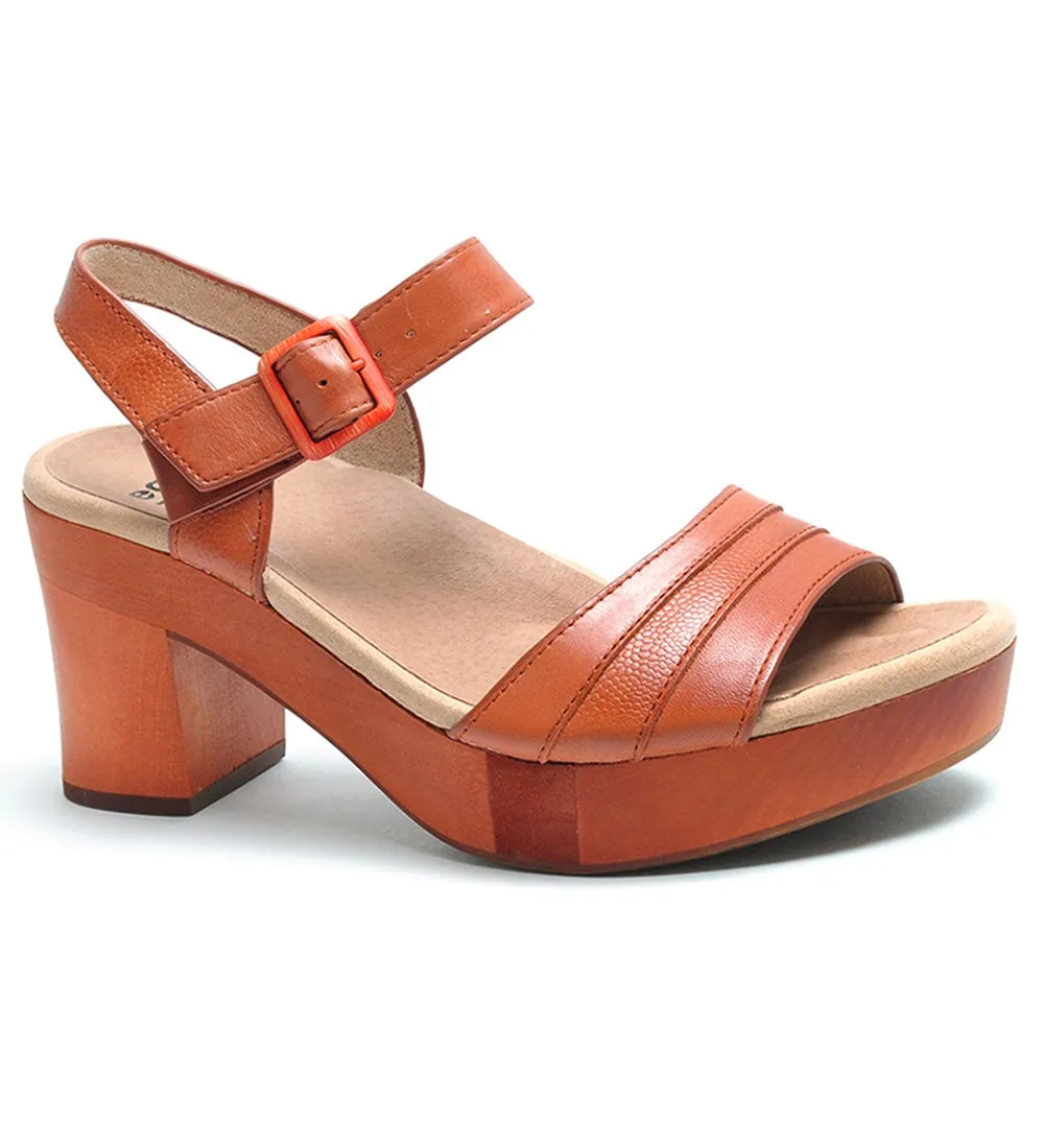 Chestnut