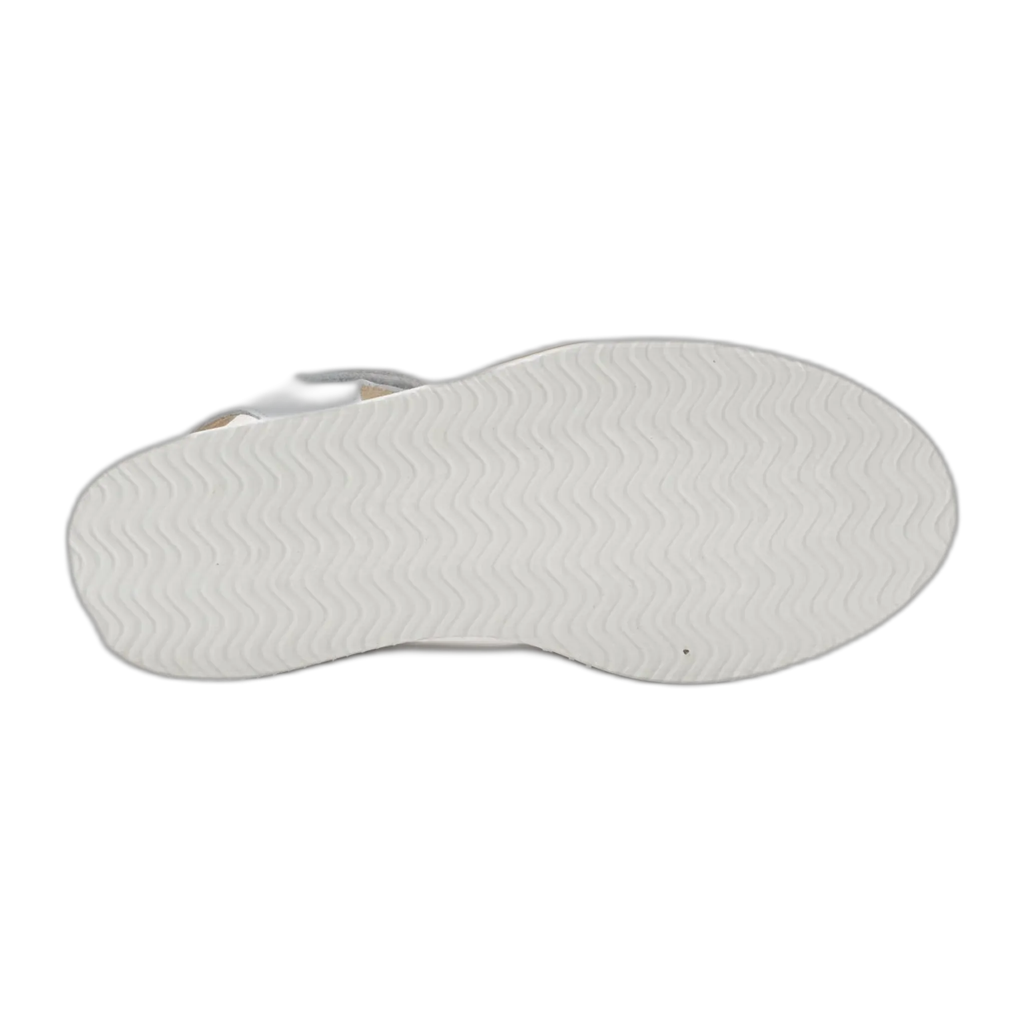 Pavlova
